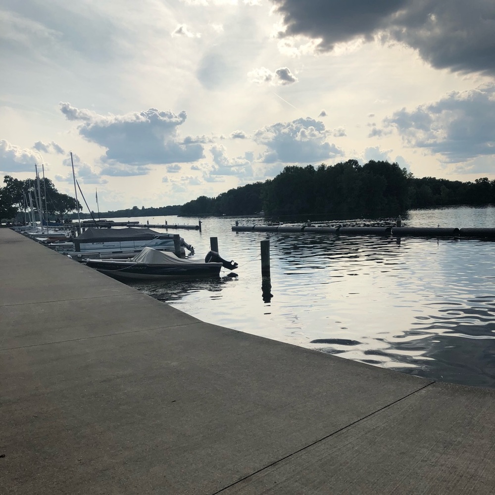 Meet your Posher, Lily